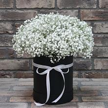 Цветочная композиция из Гипсофила в шляпной коробке #REPLACE_PRED# Любимовке