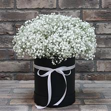 Цветочная композиция из Гипсофила в шляпной коробке в Любимовке